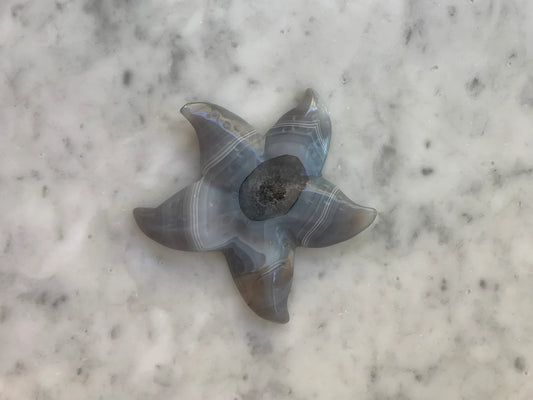 Large Druzy Sea Star, Geode Agate Starfish Carvings