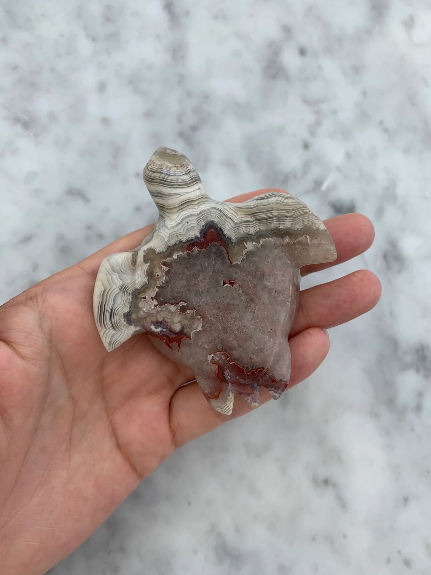 Mexican Crazy Lace Agate Turtle Natural Stone Crystal Carvings