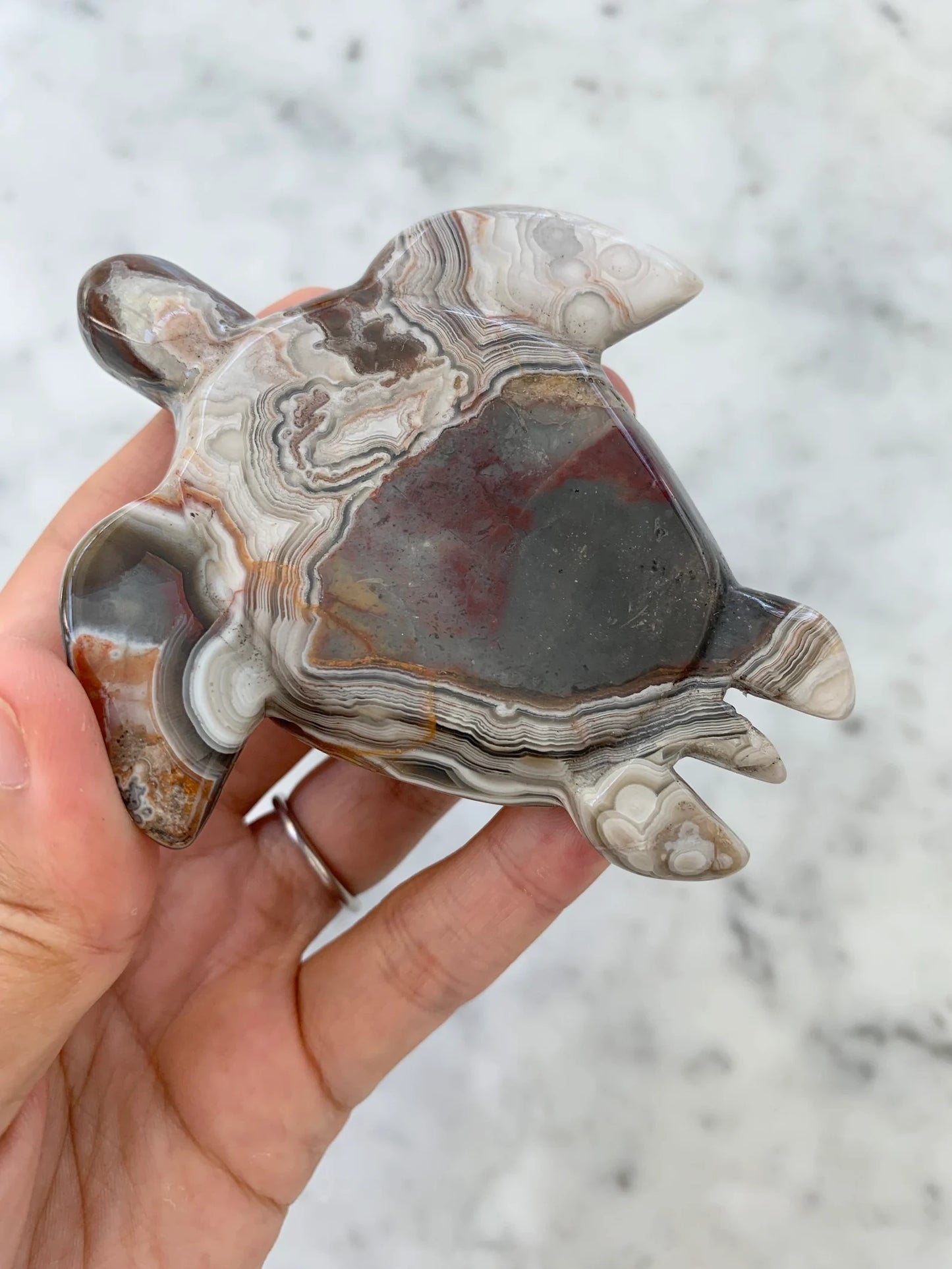 Mexican Crazy Lace Agate Turtle Natural Stone Crystal Carvings, Pink Agate Crystal Healing Gemstone